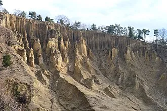 徳島県